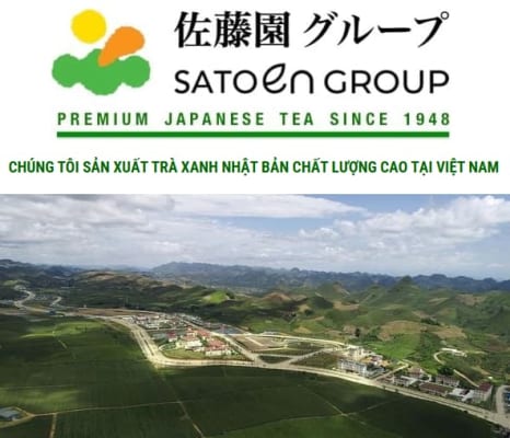 trà xanh matcha