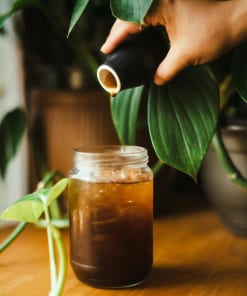Cà phê sấy lạnh